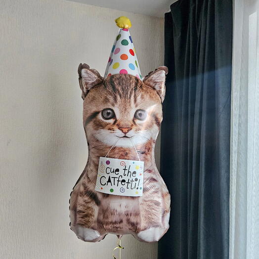 Шар фигура кот,котик,котенок в колпачке-1шар