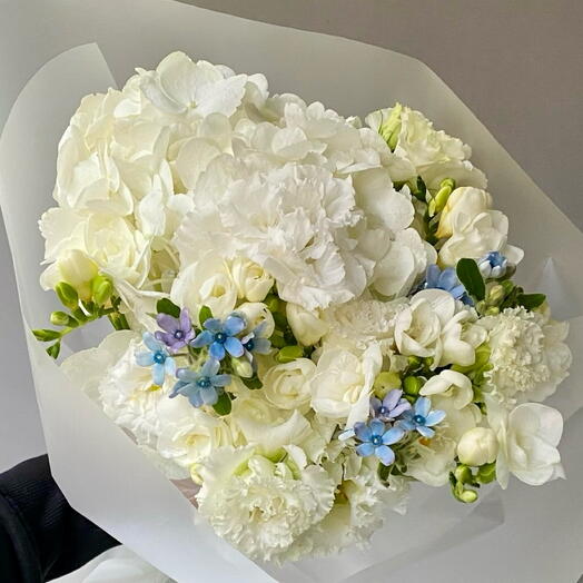 Біло-синій мікс S