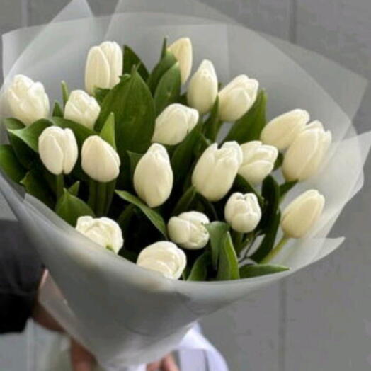 Букет из белых тюльпанов