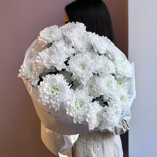 Моно стойких кустовых хризантем сорта Алтай 5шт