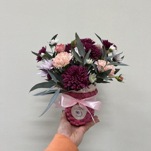 Chrysanthemum in basket