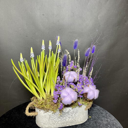 Нежные мускари с композицией из сухоцветов