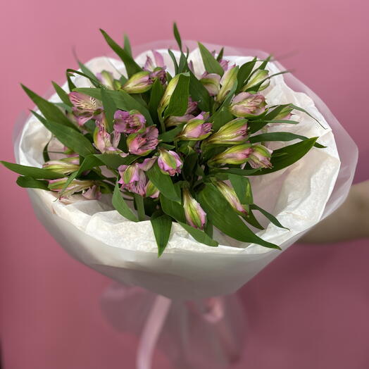 Розовая альстромерия