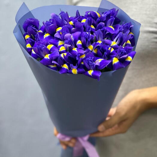 Букет из ирисов 19 шт