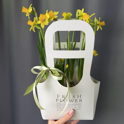 Нарциссы в сумочке