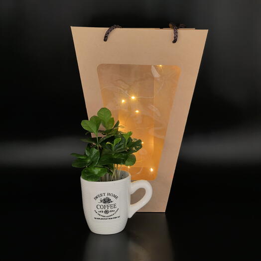 Кофе в кружке с гирляндой в подарочном пакете