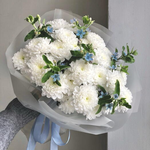 Кустовые хризантемы с оксипеталумом😍😍😍