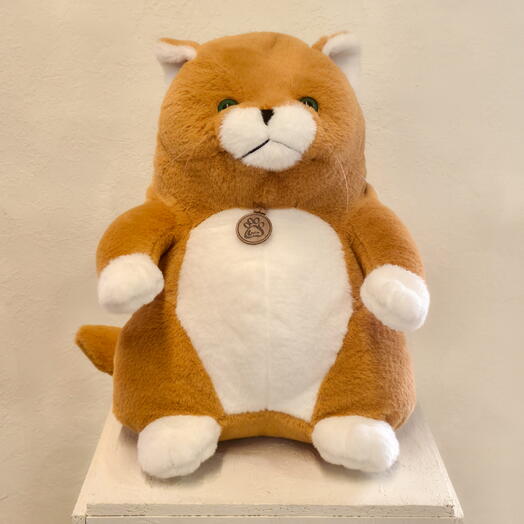 Рыжий кот