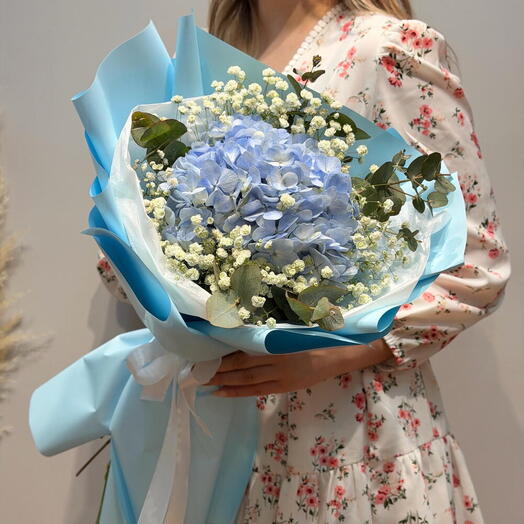 Author's bouquet of hydrangeas, gypsophila and fragrant eucalyptus "Sea breeze"