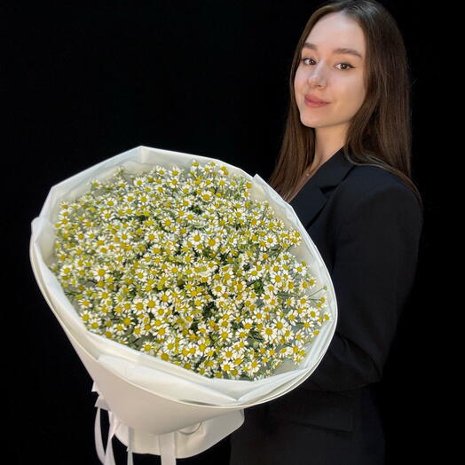 Букет из 25 ромашек (матрикария) (мб 348)