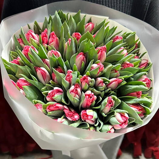 тюльпаны