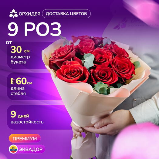9 роз "Эксплорер"