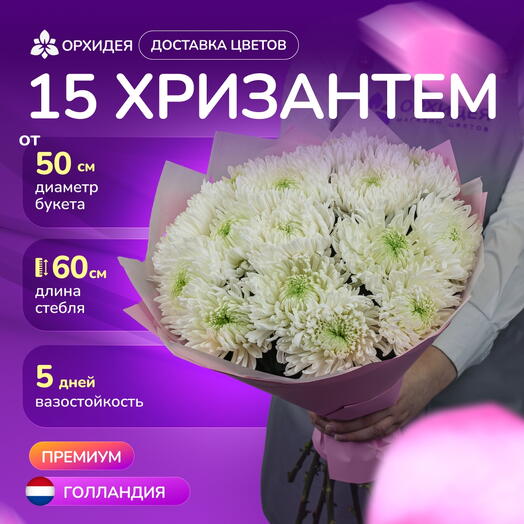 15 Хризантем Магнум белые