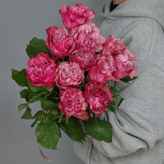 11 свекольных пионовидных роз под ленту 💗
