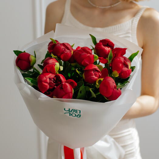 Красный бархат 13 пионов ❣️