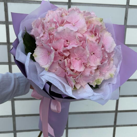 Гортензия 💕