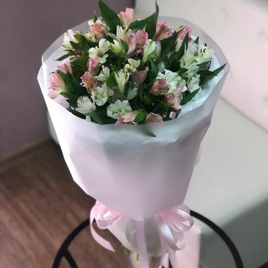 Нежная альстромерия