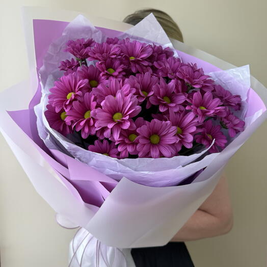 Магия фиолетового 💜 Ромашка Хризантема 💜