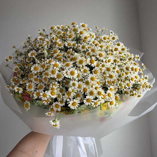 Букет из ромашек 8