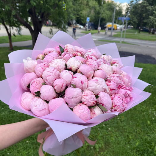 51 пион букет премиум