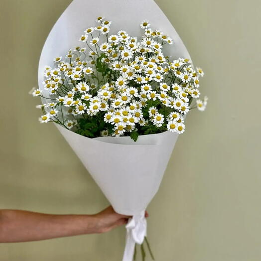 Букет из матрикарии ( ромашка, танацетум) 5 шт