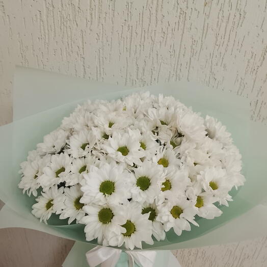 Букет моно ромашка