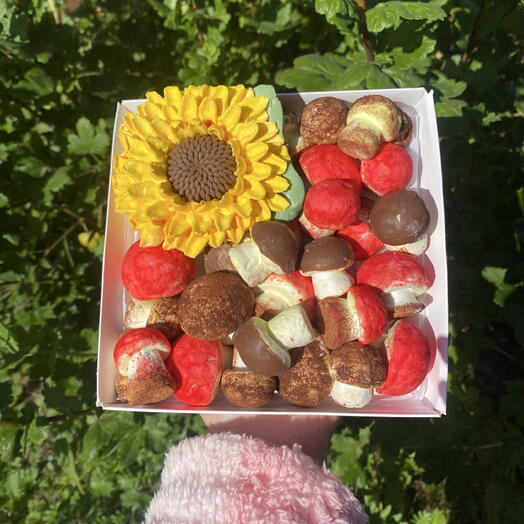 Яркая композиция из зефирных Грибов и Подсолнуха! Презент, ребенку, дочери, сыну, День знаний, учителю, внучке