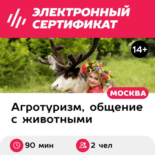 Подарочный сертификат Экскурсия к северным оленям и собакам, 2 взрослых в будний день