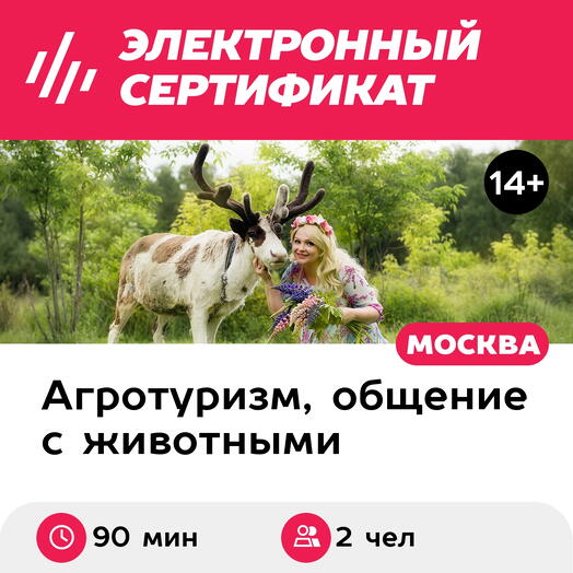 Подарочный сертификат Экскурсия к северным оленям и собакам, 2 взрослых в выходной день