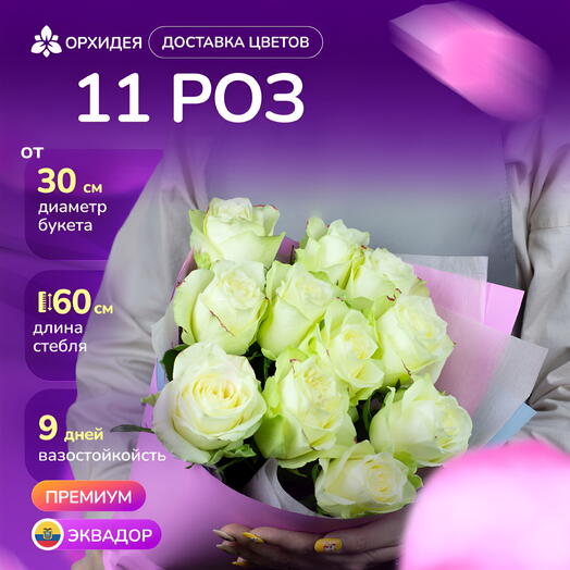 11 Роз белых 60 см