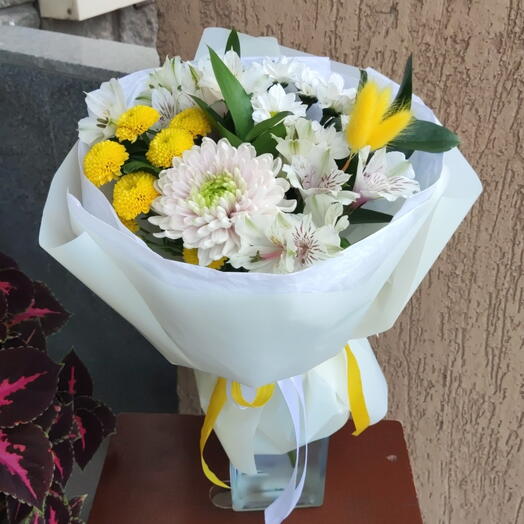 Прованс