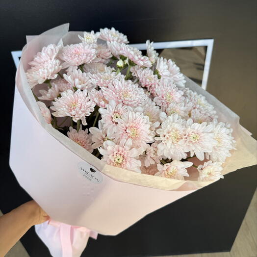 Chrysanthemum 💞