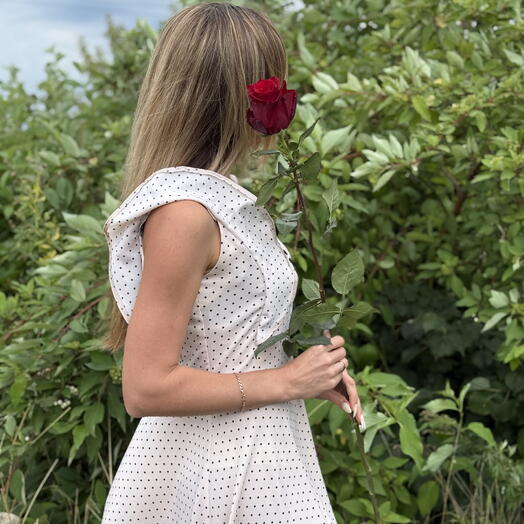 Роза Эксплорер 110 см