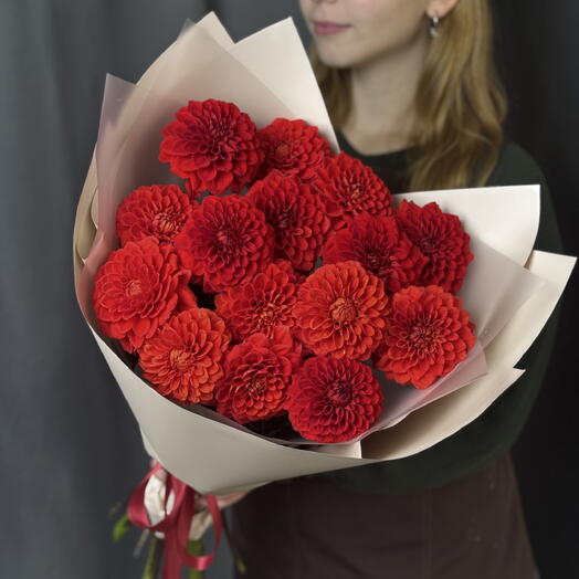 Красные георгины 15 шт