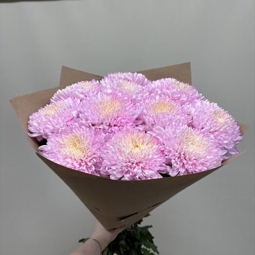 11 розовых крымских хризантем 🩷🩷🩷💜🩷🩷🩷