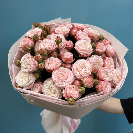 Пионовидные розы «Бархатный зефир» ♥️😍