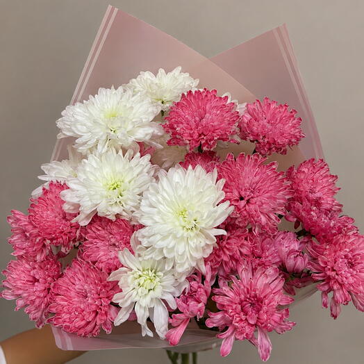 Разноцветные хризантемы🌸