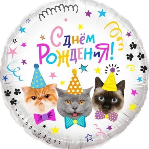Шар "С днём рождения"