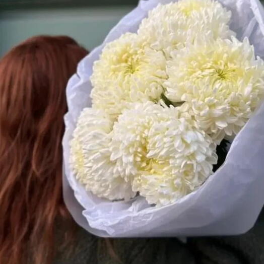Букет «Луна»: 5 хризантем Магнум