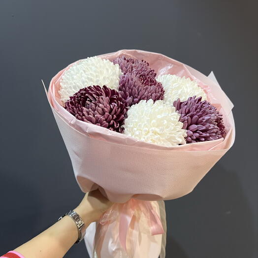 Chrysanthemum