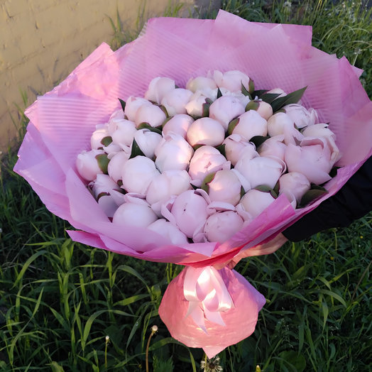 Bouquet of peonies