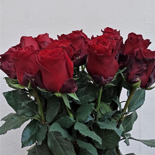 Bouquet Explorer 80