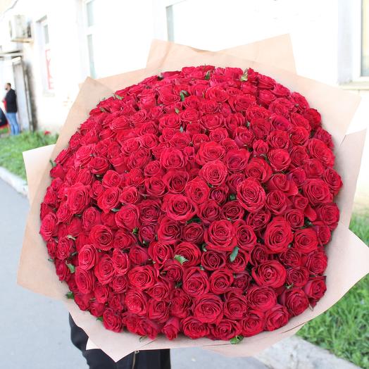Red roses