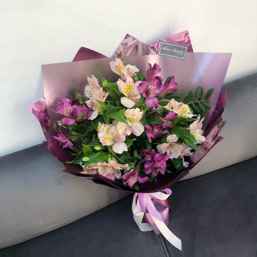 Alstroemeria persistente