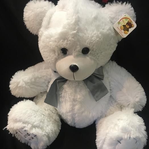 Ted 50