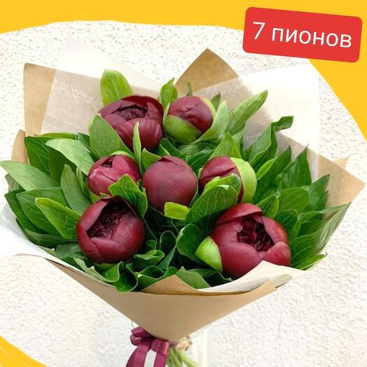 7 бордовых пионов в крафте