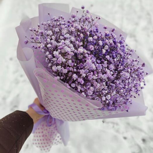 Bouquet of gypsophila