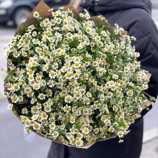 Букет из ромашек 😍