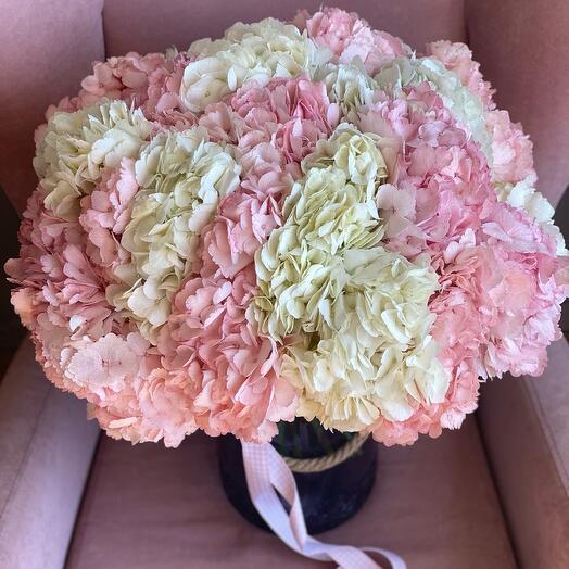 Bouquet of 25 hydrangeas