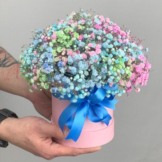 Rainbow gypsophila in a hatbox
